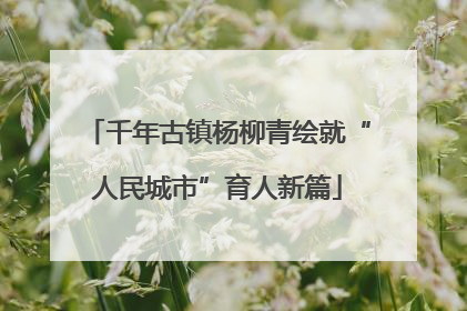 千年古镇杨柳青绘就“人民城市”育人新篇