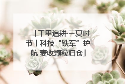 千里追耕·三夏时节丨科技“铁军”护航 麦收颗粒归仓