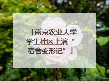 南京农业大学学生社区上演“宿舍变形记”
