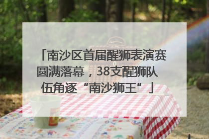 南沙区首届醒狮表演赛圆满落幕，38支醒狮队伍角逐“南沙狮王”