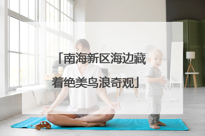 南海新区海边藏着绝美鸟浪奇观