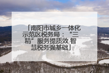 南阳市城乡一体化示范区税务局：“三精”服务提质效 智慧税务强基础