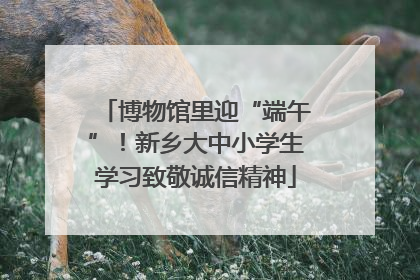 博物馆里迎“端午”!新乡大中小学生学习致敬诚信精神