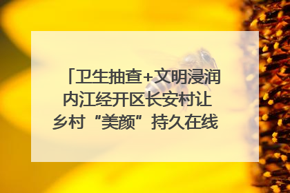 卫生抽查+文明浸润 内江经开区长安村让乡村“美颜”持久在线｜万千气象看四川