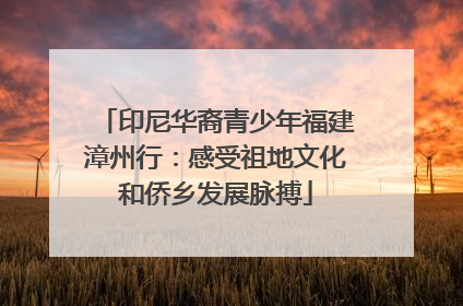 印尼华裔青少年福建漳州行：感受祖地文化和侨乡发展脉搏