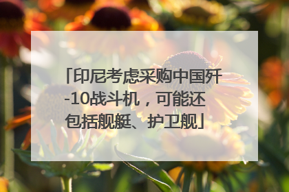 印尼考虑采购中国歼-10战斗机，可能还包括舰艇、护卫舰