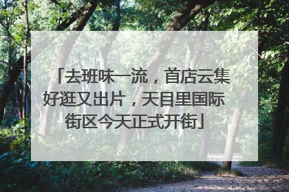 去班味一流，首店云集好逛又出片，天目里国际街区今天正式开街