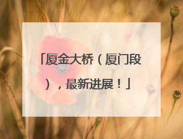 厦金大桥（厦门段），最新进展！