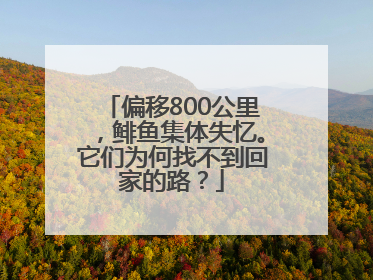 偏移800公里，鲱鱼集体失忆。它们为何找不到回家的路？