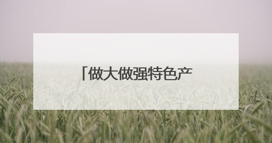 做大做强特色产业 奏响乡村振兴“富民曲”