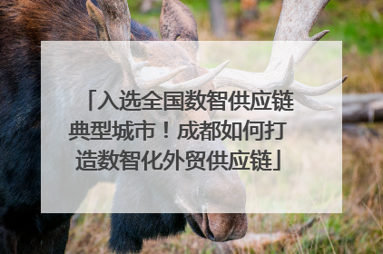入选全国数智供应链典型城市！成都如何打造数智化外贸供应链