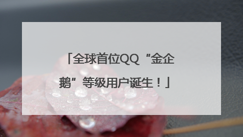 全球首位QQ“金企鹅”等级用户诞生！
