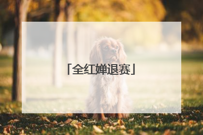 全红婵退赛