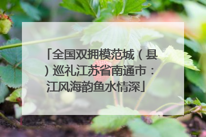 全国双拥模范城（县）巡礼江苏省南通市：江风海韵鱼水情深