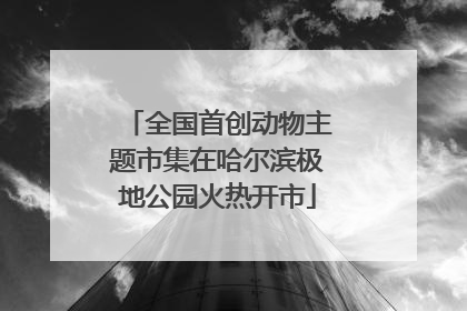 全国首创动物主题市集在哈尔滨极地公园火热开市