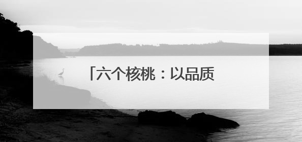 六个核桃：以品质筑基、创新领航的植物蛋白饮品标杆