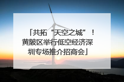 共拓“天空之城”！黄陂区举行低空经济深圳专场推介招商会
