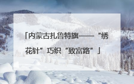 内蒙古扎鲁特旗——“绣花针”巧织“致富路”