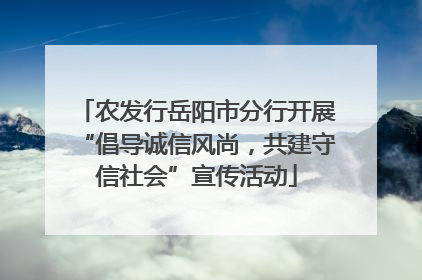 农发行岳阳市分行开展“倡导诚信风尚，共建守信社会”宣传活动
