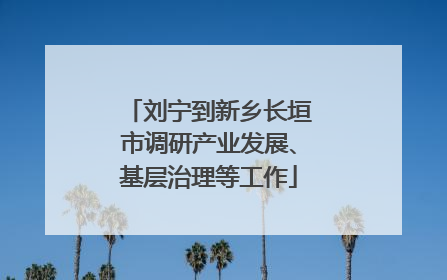 刘宁到新乡长垣市调研产业发展、基层治理等工作