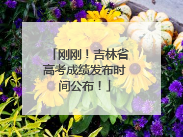 刚刚！吉林省高考成绩发布时间公布！