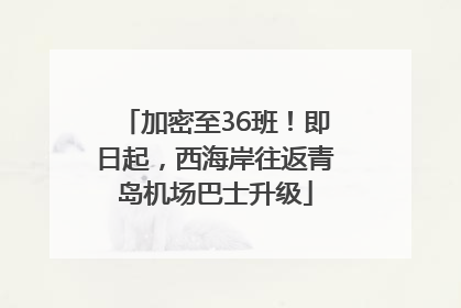 加密至36班！即日起，西海岸往返青岛机场巴士升级