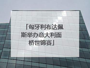 匈牙利布达佩斯举办意大利面桥世锦赛