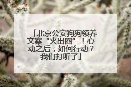 北京公安狗狗领养文案“火出圈”！心动之后，如何行动？我们打听了