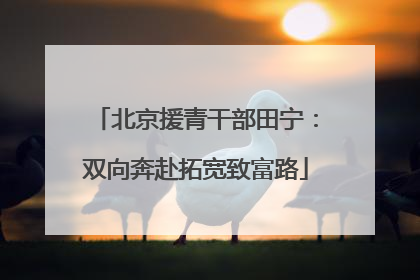 北京援青干部田宁：双向奔赴拓宽致富路