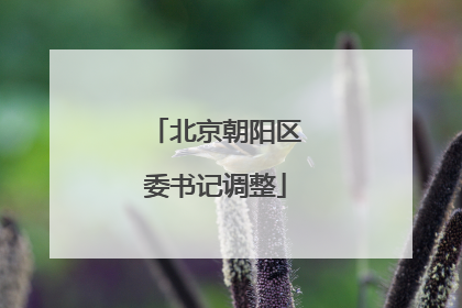 北京朝阳区委书记调整