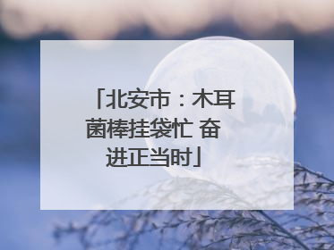北安市：木耳菌棒挂袋忙 奋进正当时