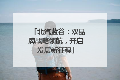 北汽蓝谷：双品牌战略领航，开启发展新征程
