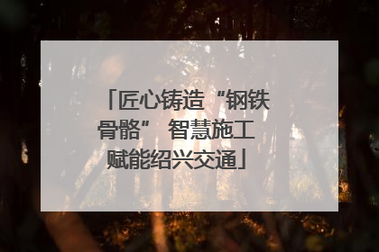 匠心铸造“钢铁骨骼” 智慧施工赋能绍兴交通