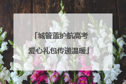 城管蓝护航高考 爱心礼包传递温暖