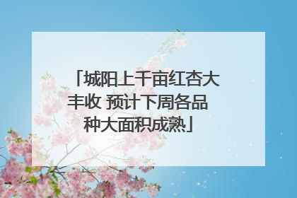 城阳上千亩红杏大丰收 预计下周各品种大面积成熟