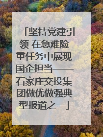 坚持党建引领 在急难险重任务中展现国企担当——石家庄交投集团做优做强典型报道之一