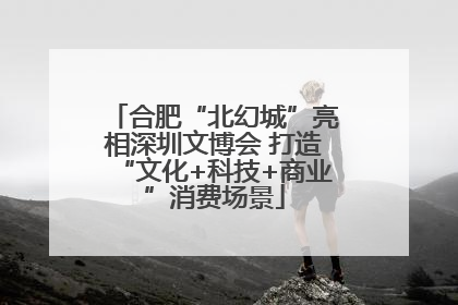 合肥“北幻城”亮相深圳文博会 打造“文化+科技+商业”消费场景