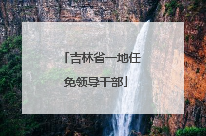 吉林省一地任免领导干部