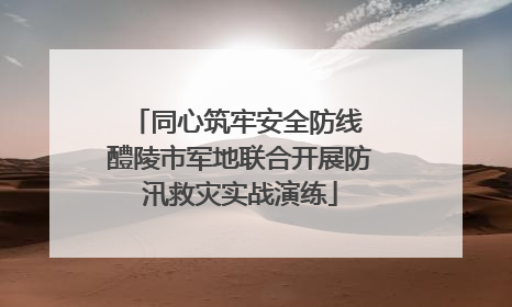 同心筑牢安全防线 醴陵市军地联合开展防汛救灾实战演练