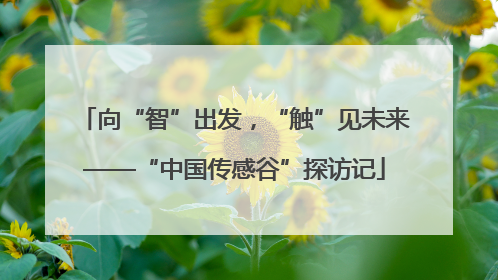 向“智”出发，“触”见未来——“中国传感谷”探访记