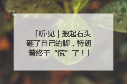 听·见｜搬起石头砸了自己的脚，特朗普终于“慌”了！