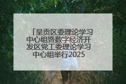呈贡区委理论学习中心组暨数字经济开发区党工委理论学习中心组举行2025年第七次学习会议