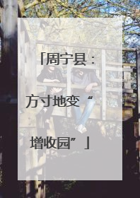 周宁县：方寸地变“增收园”