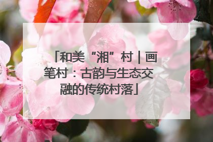 和美“湘”村｜画笔村：古韵与生态交融的传统村落