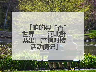 咱的梨“香”世界——河北鲜梨出口产销对接活动侧记