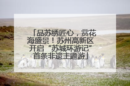 品苏绣匠心，赏花海盛景！苏州高新区开启“苏城环游记”首条非遗主题游
