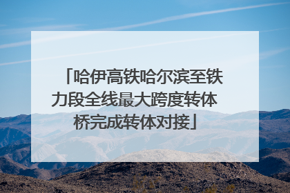 哈伊高铁哈尔滨至铁力段全线最大跨度转体桥完成转体对接