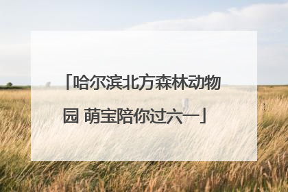 哈尔滨北方森林动物园 萌宝陪你过六一