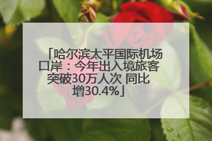 哈尔滨太平国际机场口岸：今年出入境旅客突破30万人次 同比增30.4%