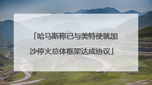 哈马斯称已与美特使就加沙停火总体框架达成协议